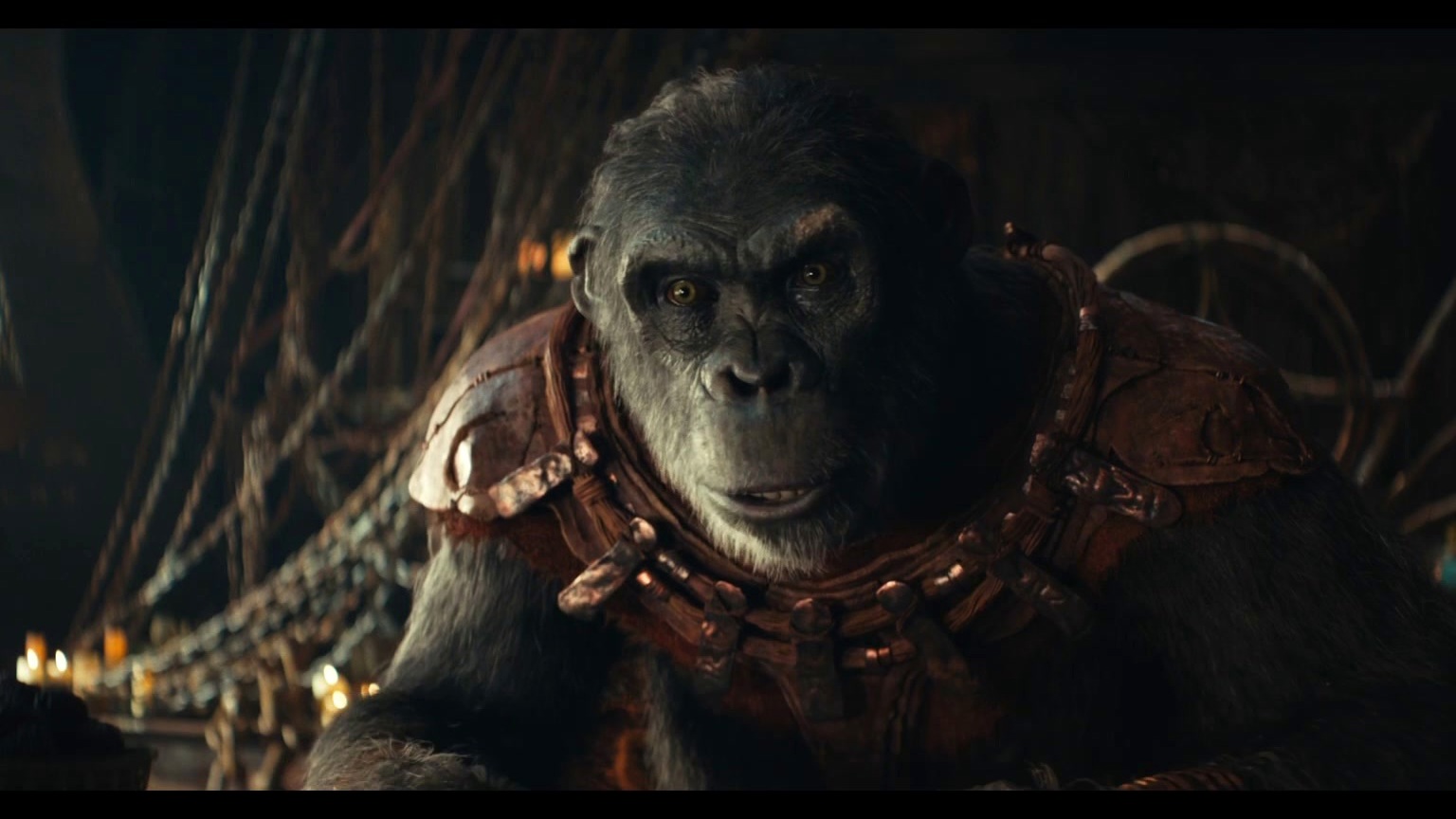 Kingdom Of The Planet Of The Apes