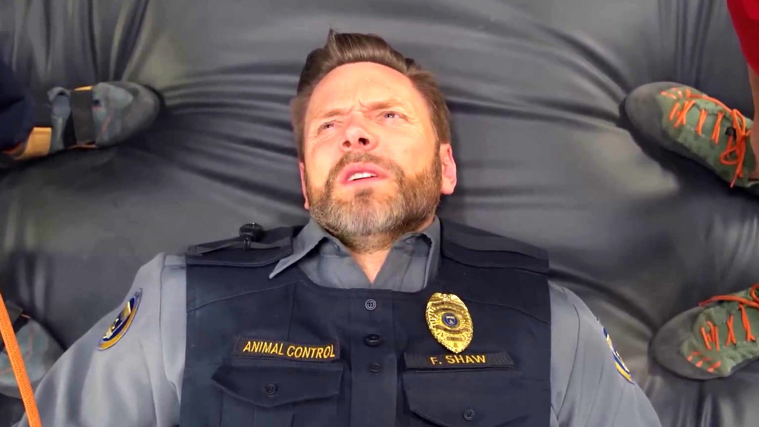 Animal Control: Cats And Monkeys