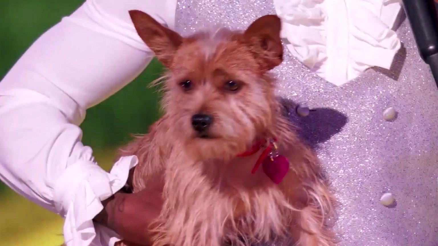 The Masked Singer: Judges Guess For The Beets