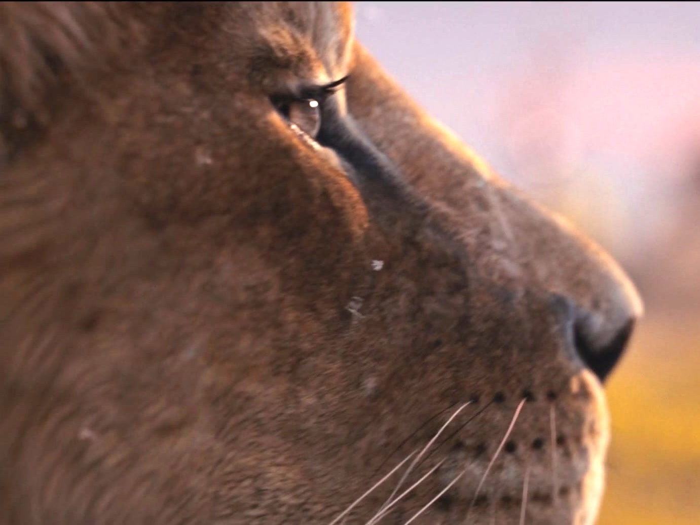 Mufasa: The Lion King (Teaser Trailer 1)