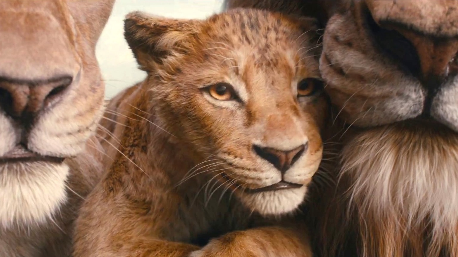 Mufasa: The Lion King