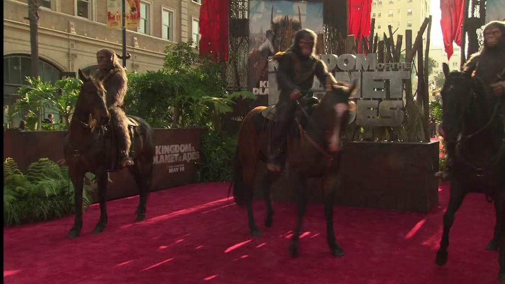 Kingdom Of The Planet Of The Apes: Global Phenomenon