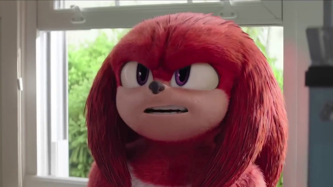 Knuckles: The Warrior