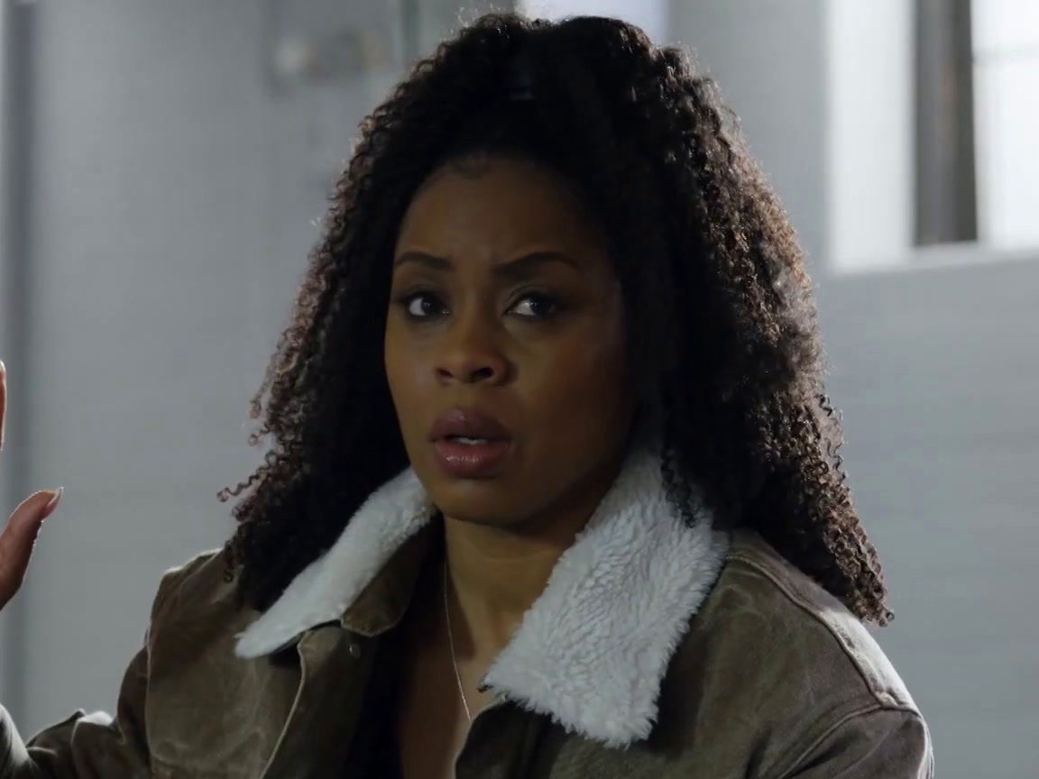 Law & Order: Organized Crime: Crossroads