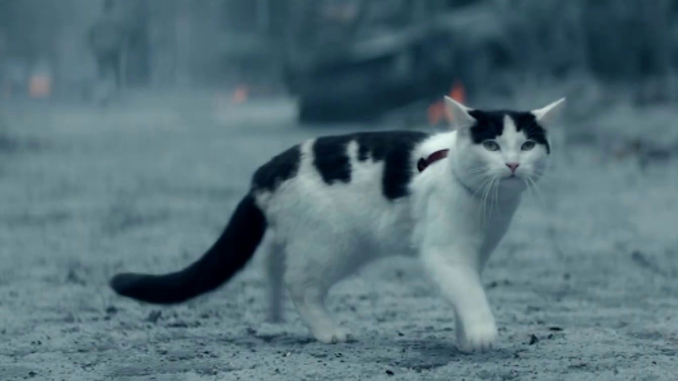 A Quiet Place: Day One: Cat PSA (Australia Spot)