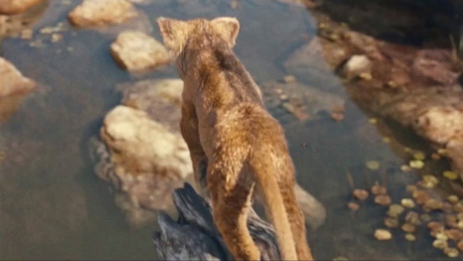 Mufasa: The Lion King: The Lion King 30th Anniversary (Australia Spot)
