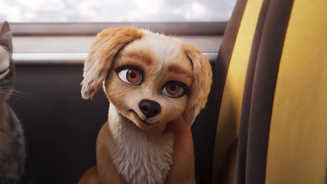 Gracie And Pedro: Pets To The Rescue
