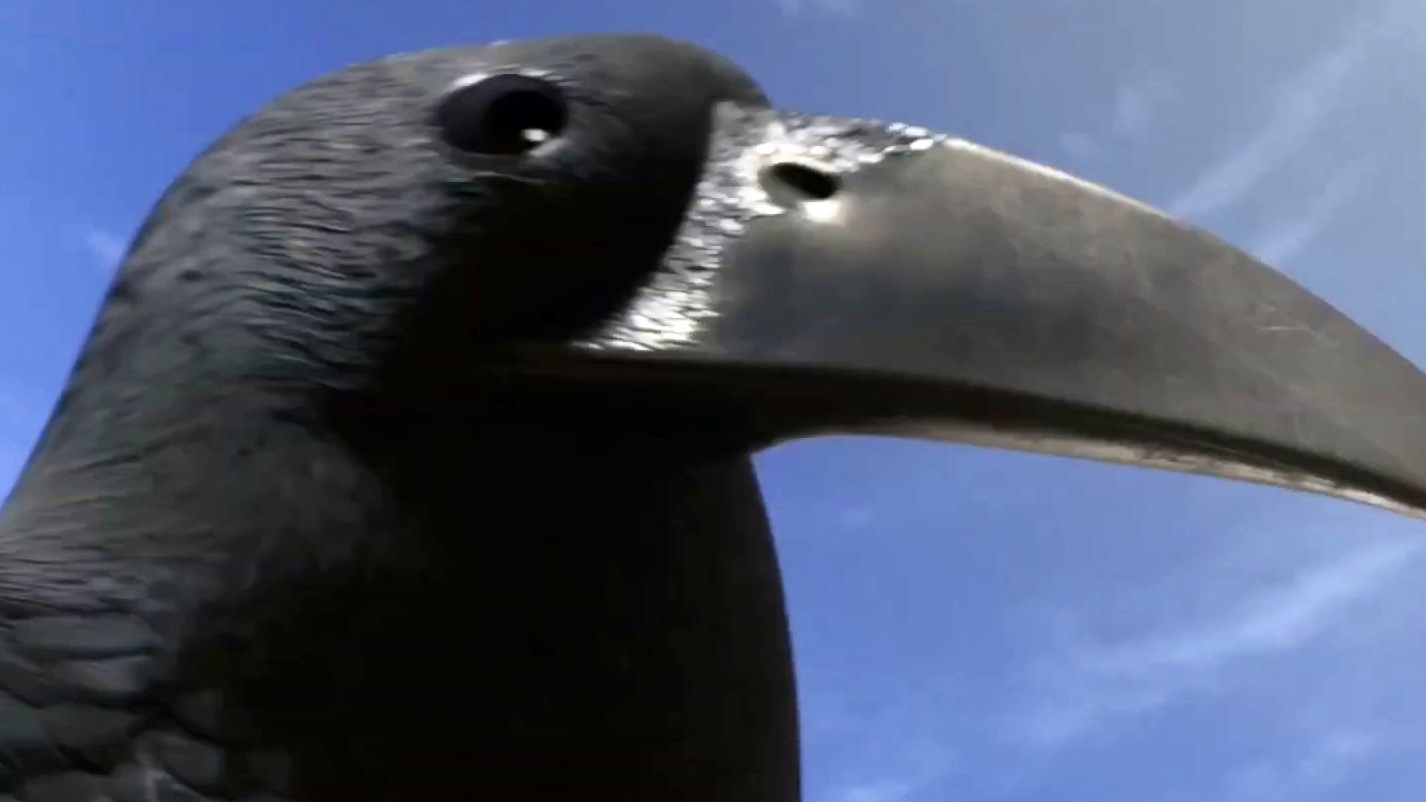 Sausage Party: Foodtopia: Megan Thee Scallion Is Attacked By A Bird (Uk)