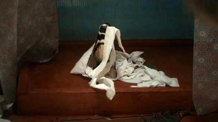 My Penguin Friend: Extra Mile (Spot)