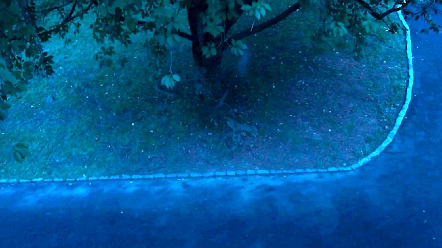 Presence (Teaser Trailer 1)