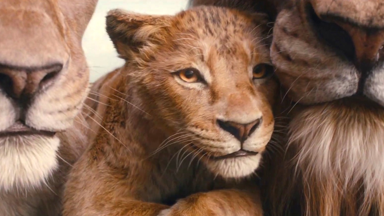 Mufasa: The Lion King (UK Audio Described Official Trailer)