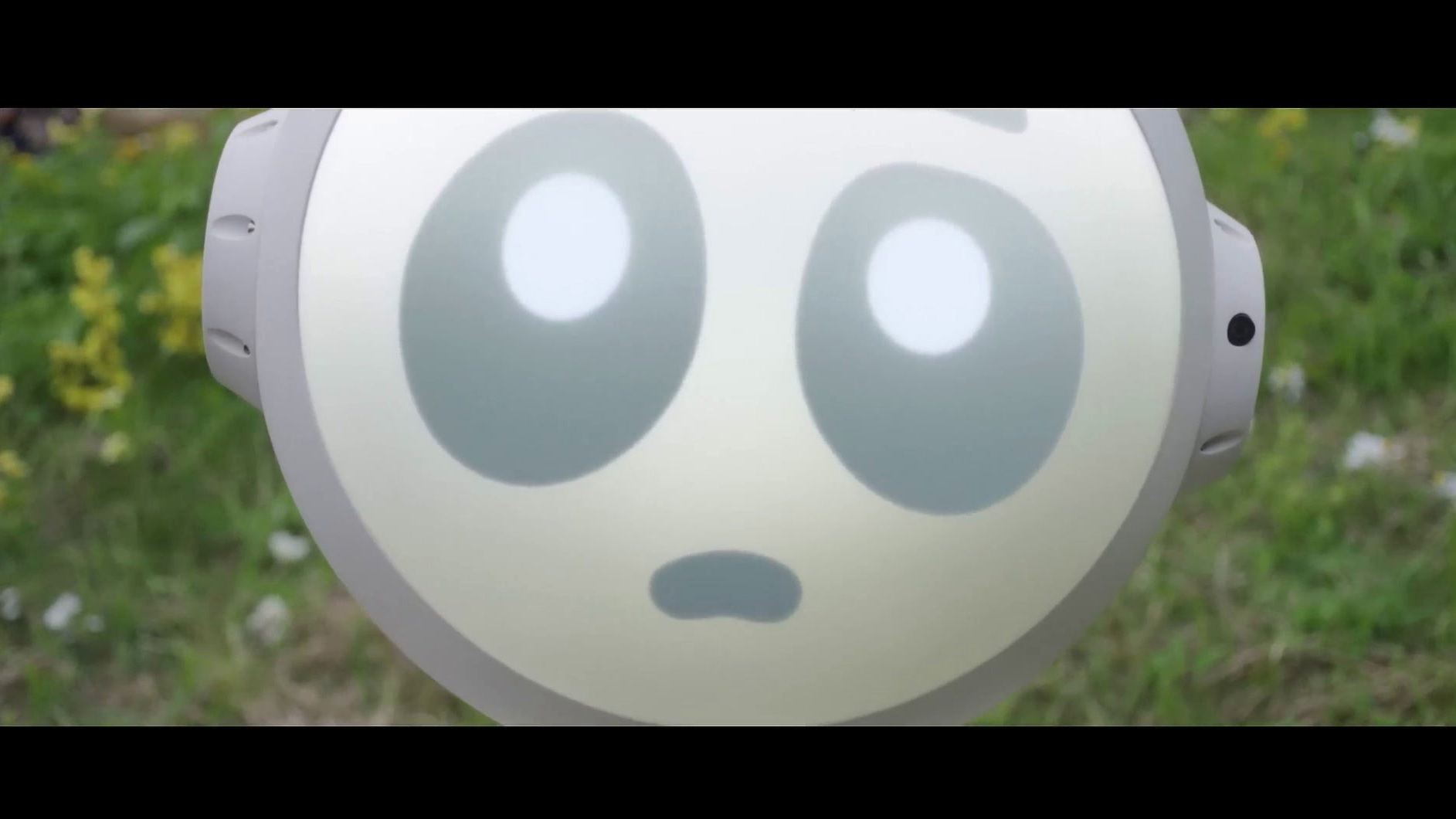 Sunny: Joey Sakamoto