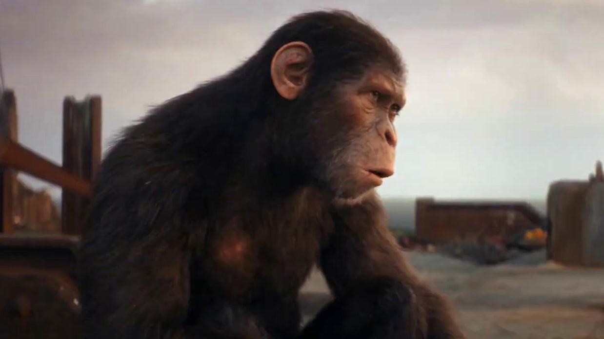 Kingdom Of The Planet Of The Apes: Bring Apes Home (Spot)