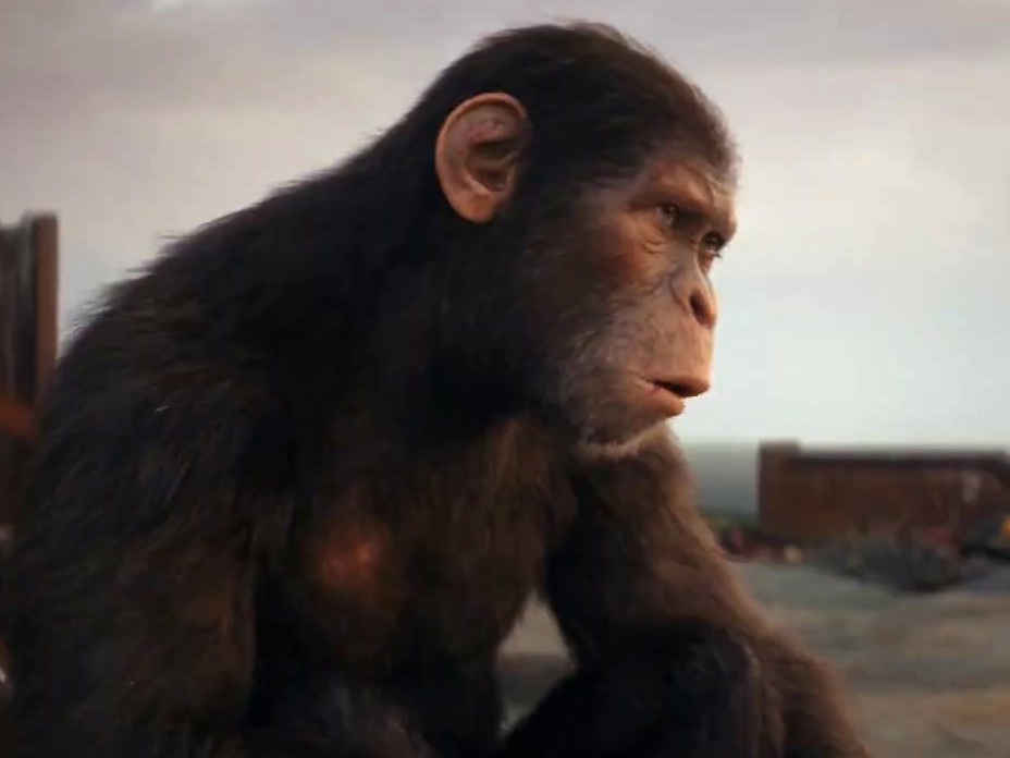 Kingdom Of The Planet Of The Apes: King (Spot) - TV Guide