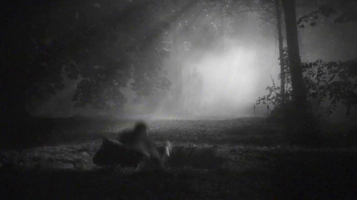 Rumours (Teaser Trailer)