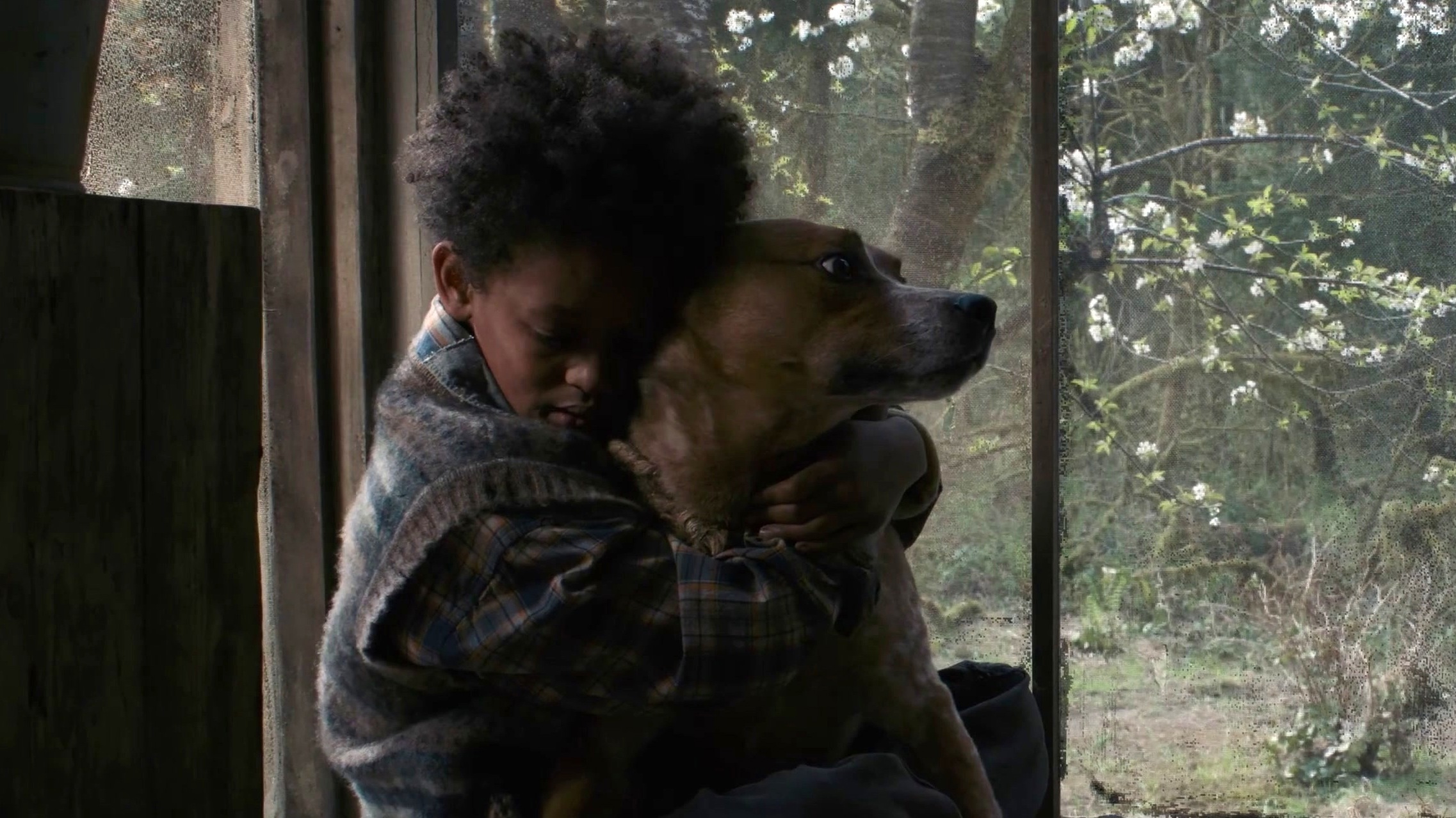 Never Let Go (Trailer 2)