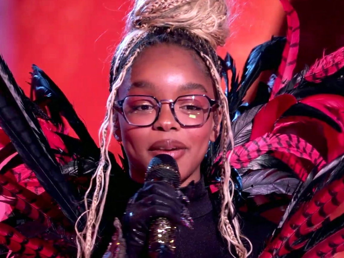 The Masked Singer: The Reveal Of Woodpecker
