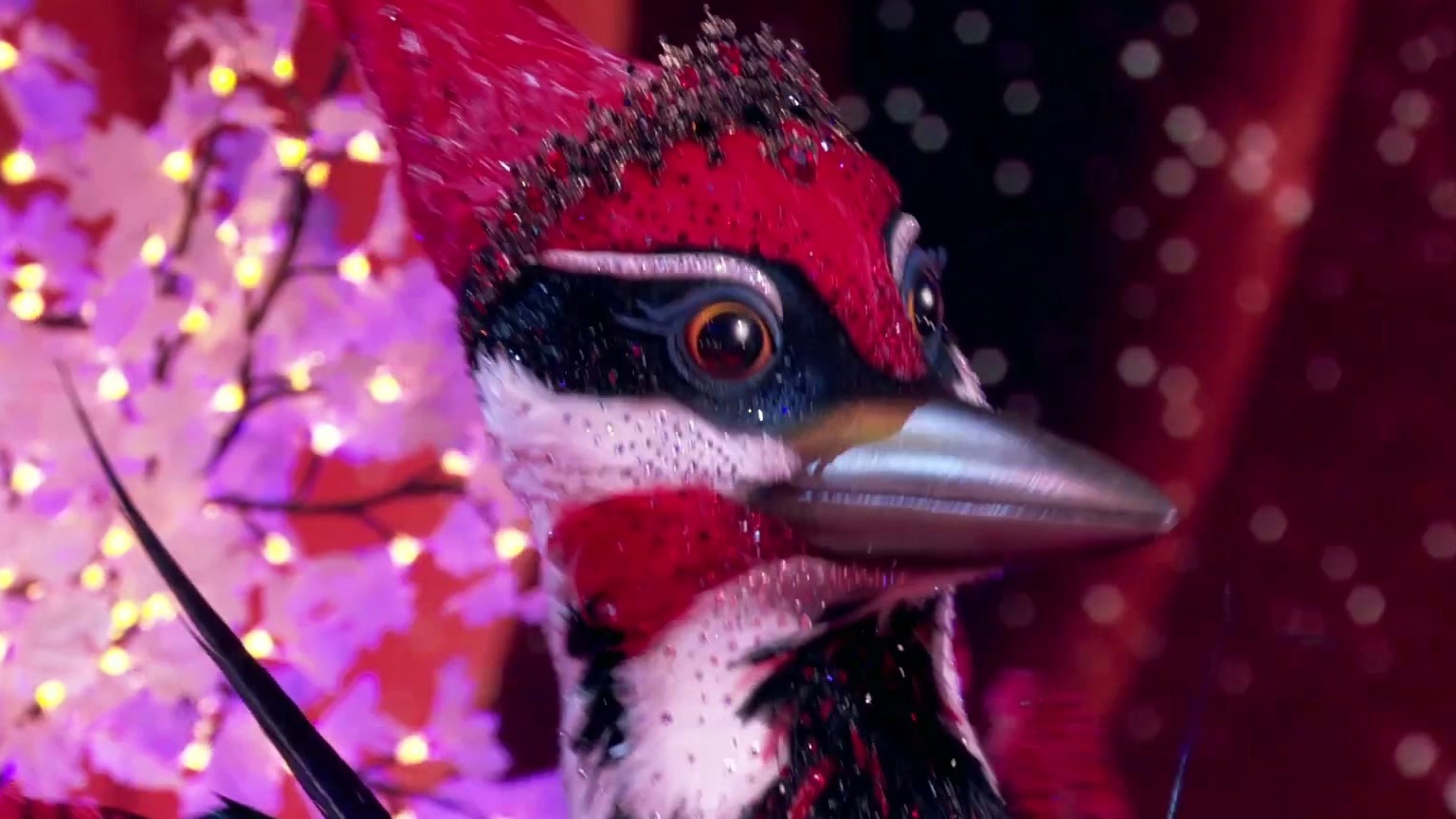 The Masked Singer: Woodpecker Stuns With Put Your Records On