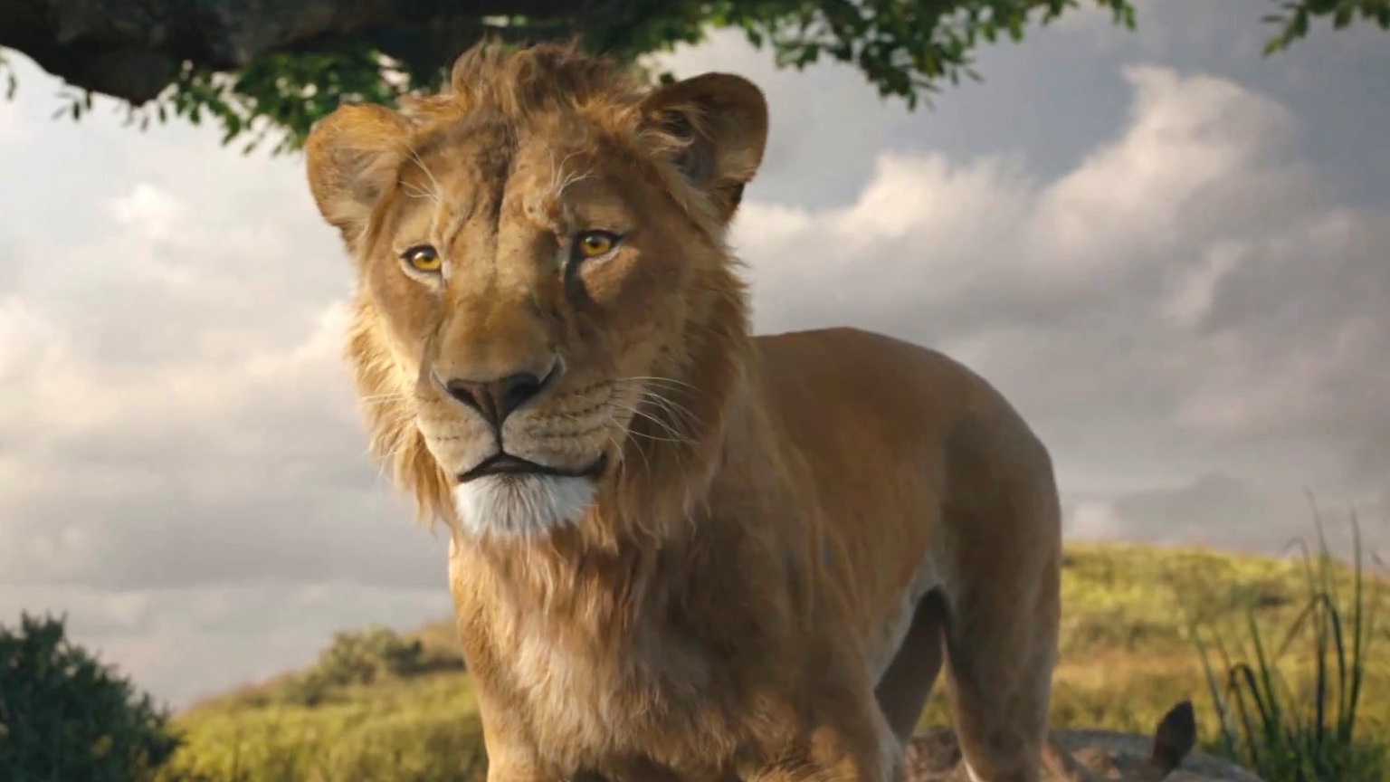 Mufasa: The Lion King (Final Trailer)