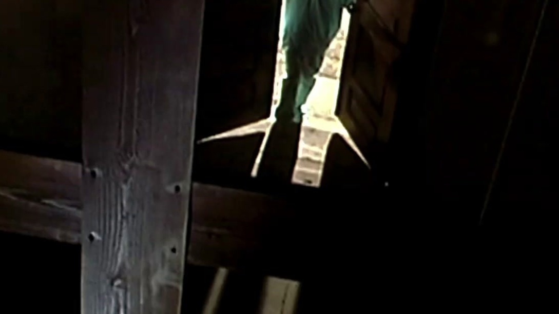 28 Days Later (Digital Trailer)