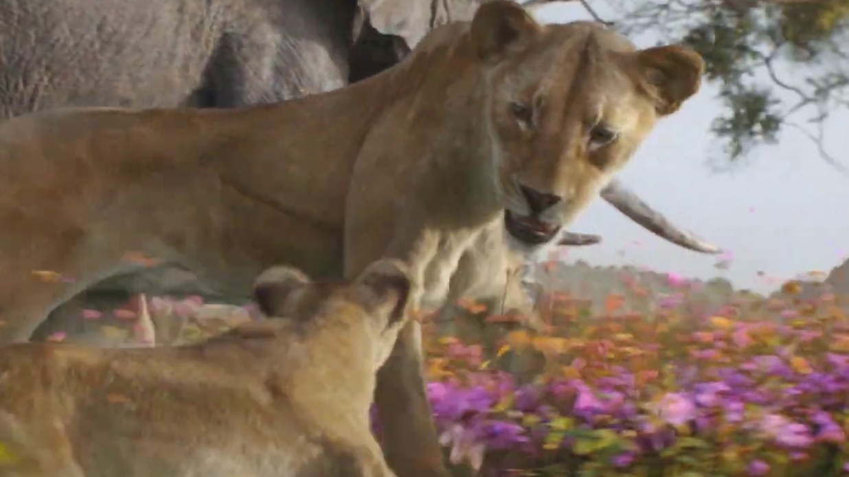 Mufasa: The Lion King: Milele