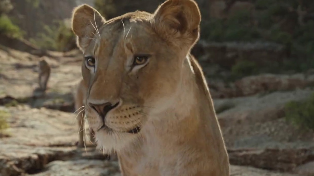 Mufasa: The Lion King: Go Together