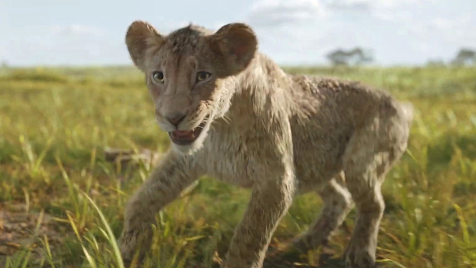 Mufasa: The Lion King: I Always Wanted A Brother (Multi-Language Video)