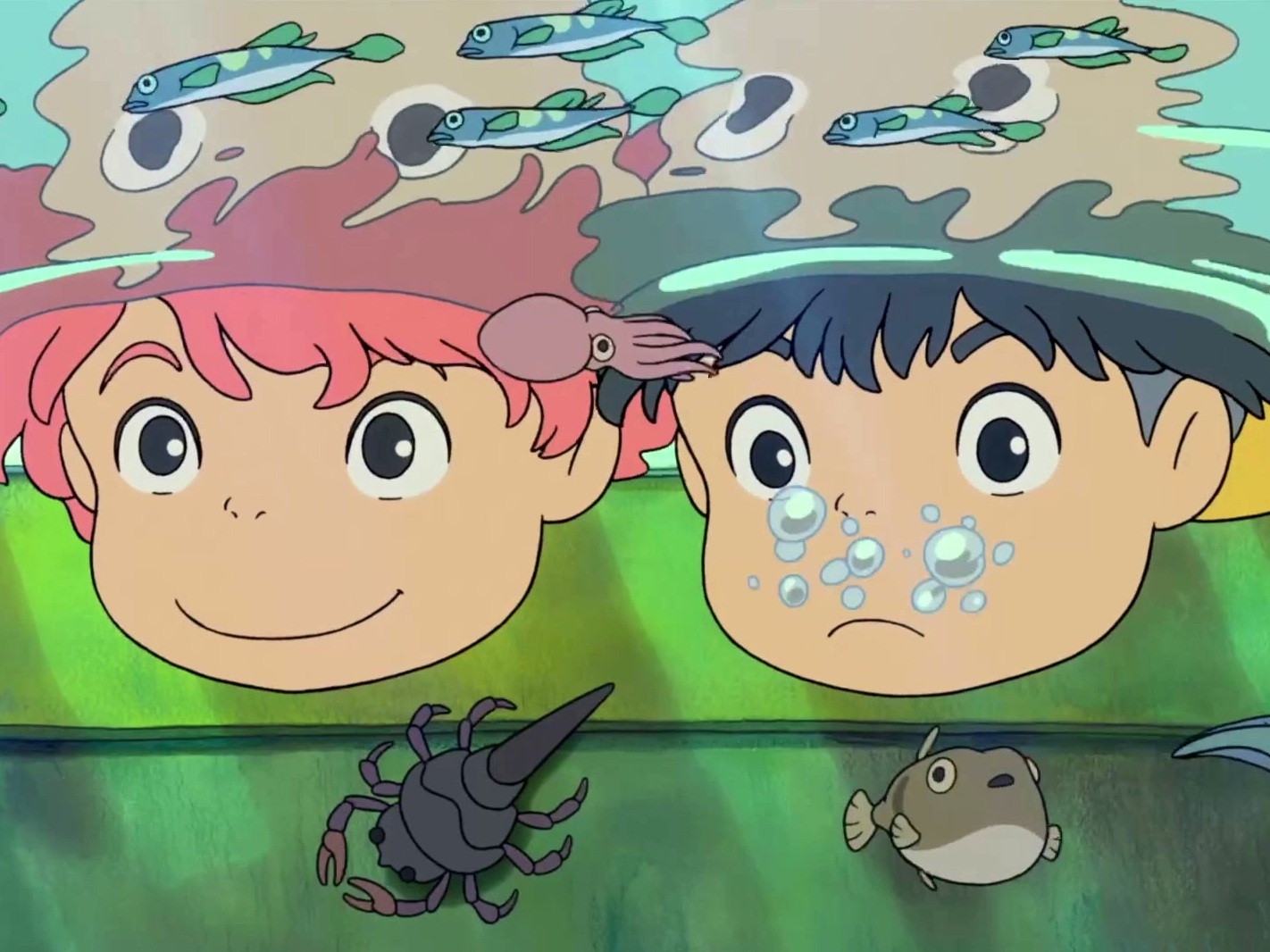 Miyazaki, L'esprit De La Nature
