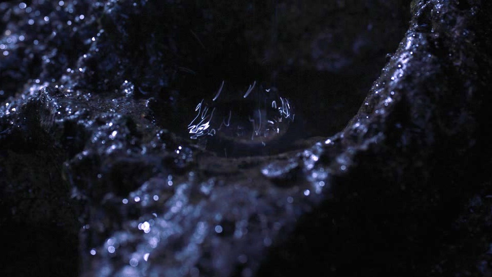 The Gorge: They're Everywhere