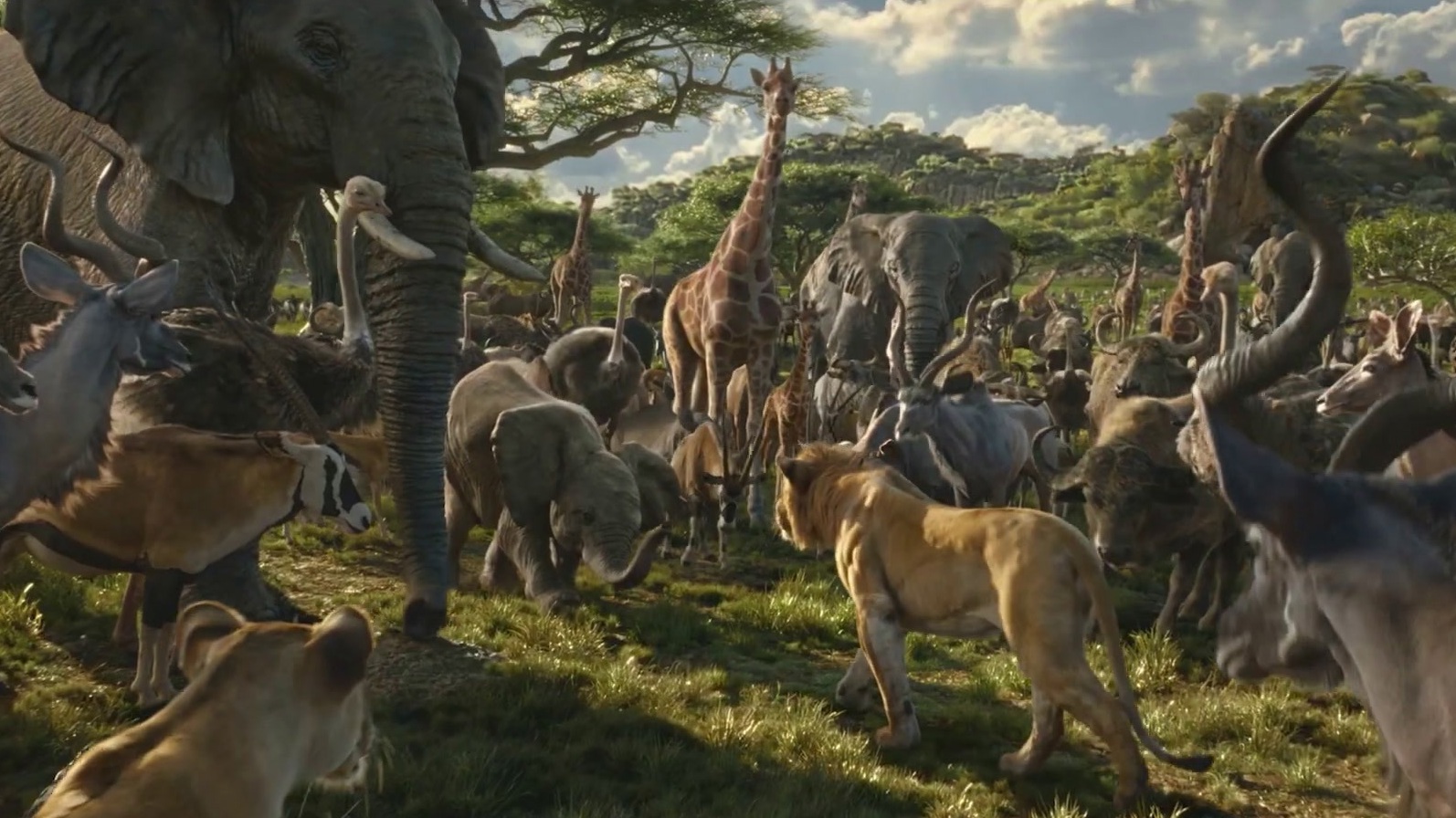 Mufasa: The Lion King: Digital (Spot)