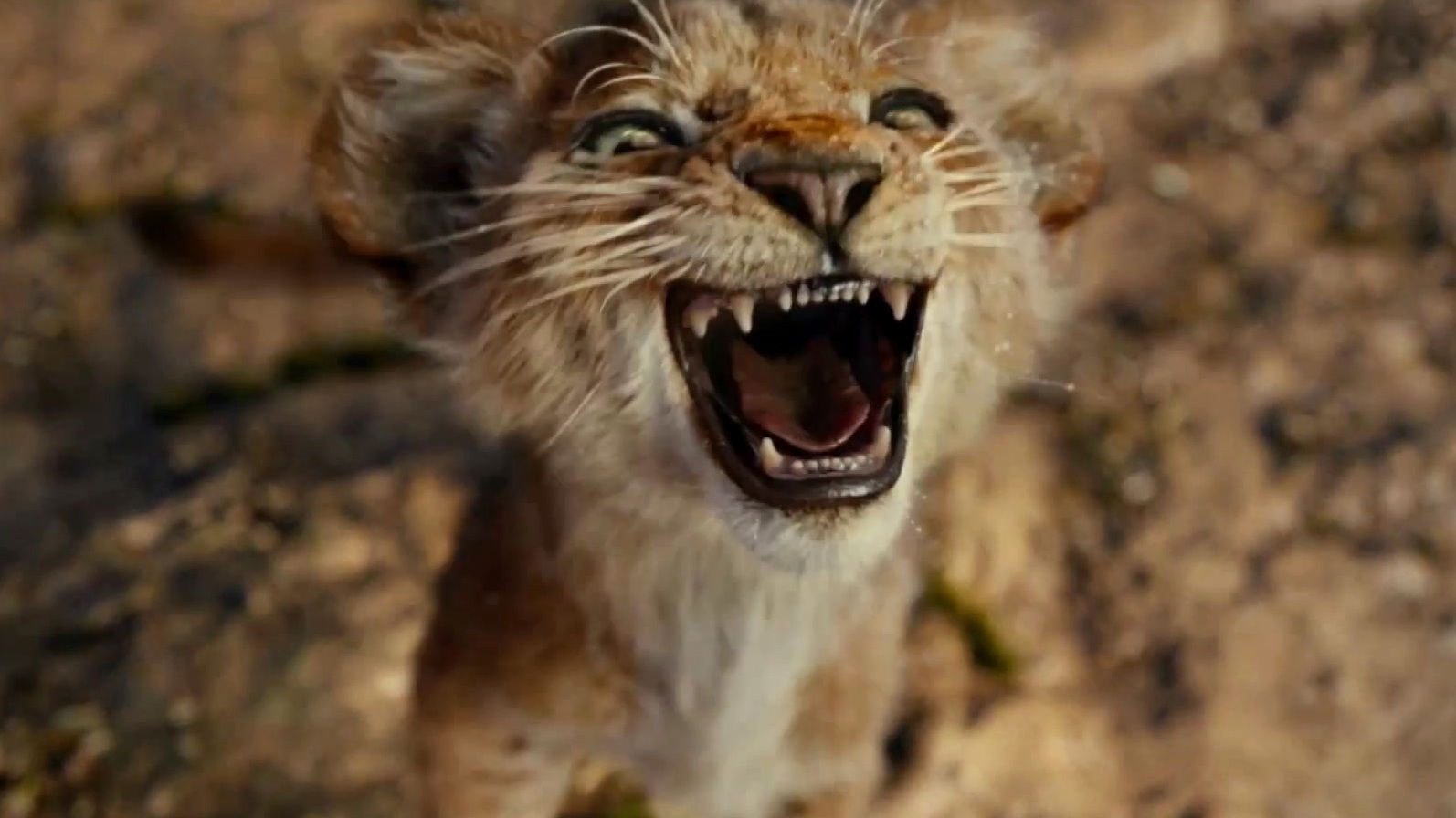Mufasa: The Lion King: Home (Australia Spot)