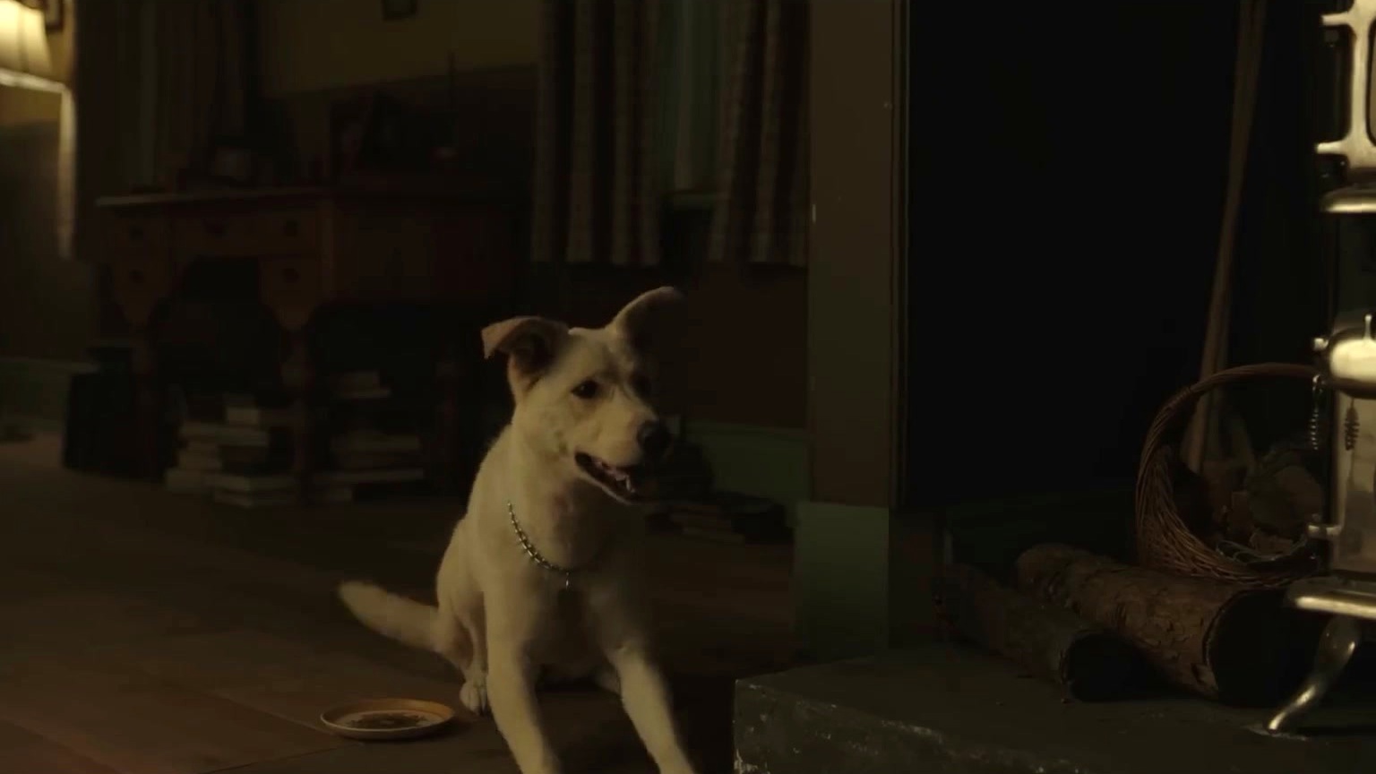 Titans: Season 2: Krypto Saves Superboy Twice
