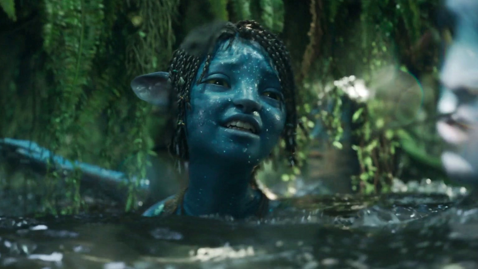 Avatar: Fire And Ash: Sully's Never Quit