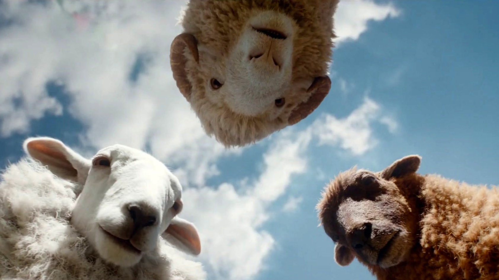 The Sheep Detectives