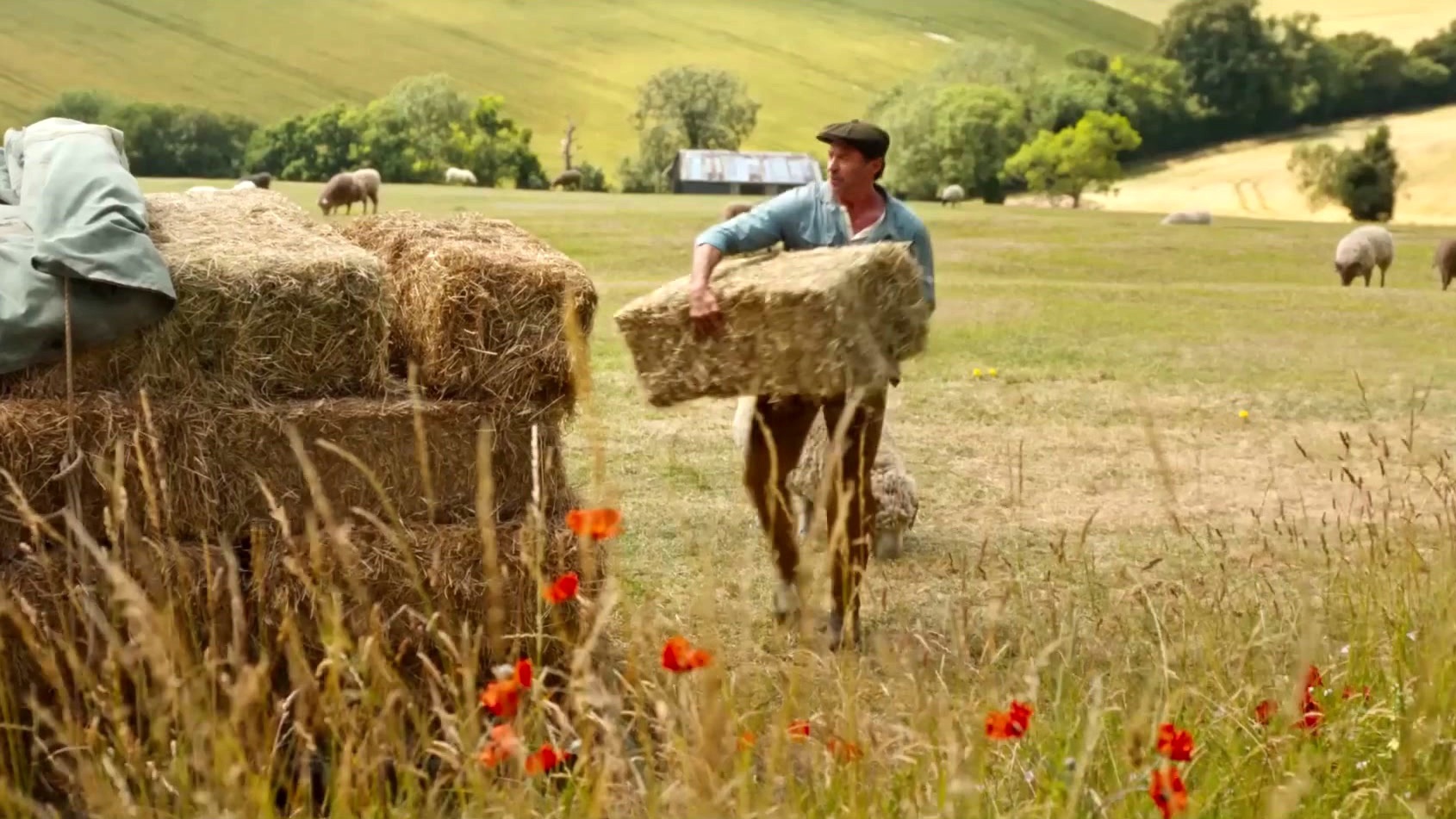 The Sheep Detectives (UK Trailer 1)