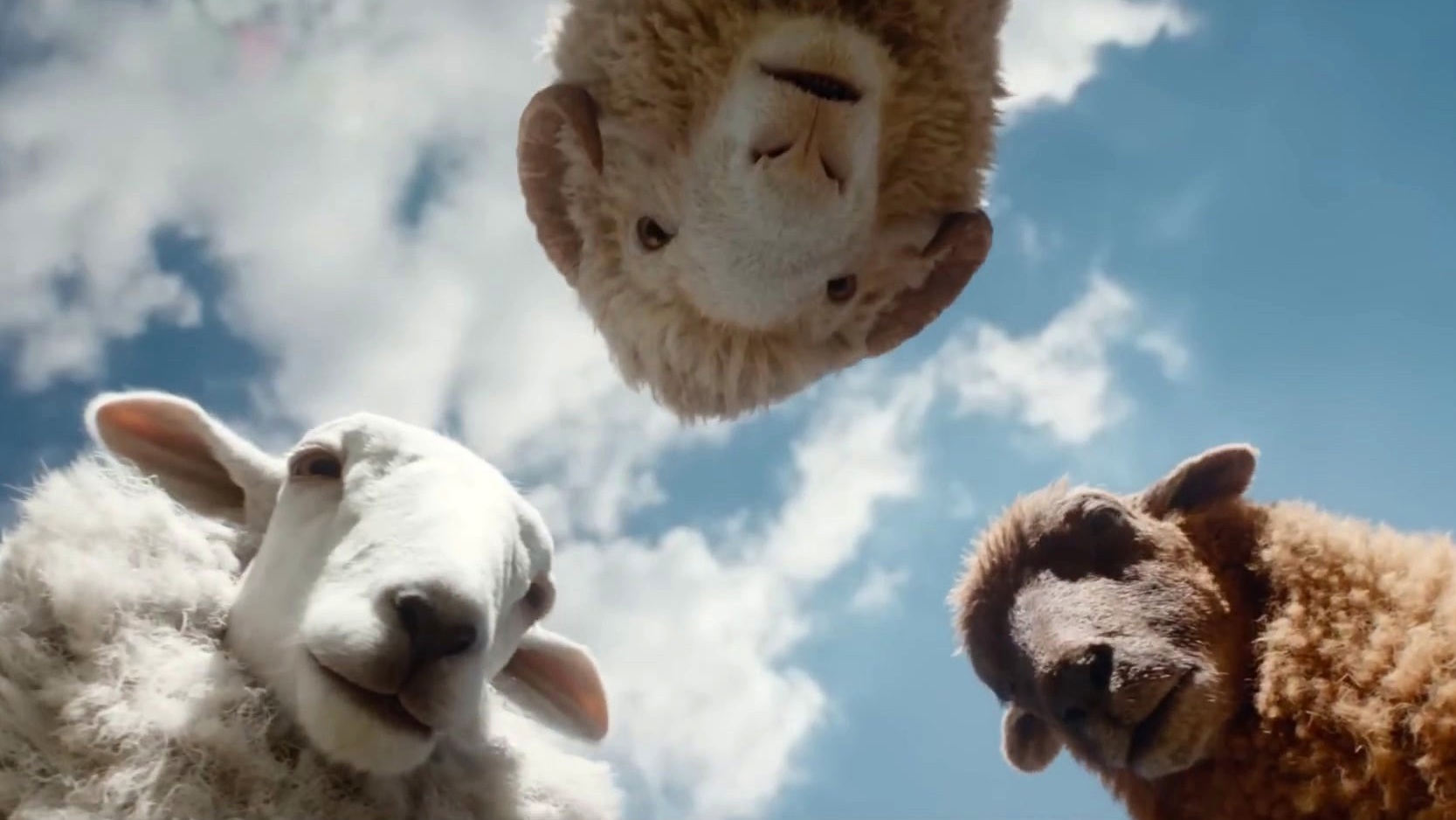 The Sheep Detectives (Australia Trailer 1)