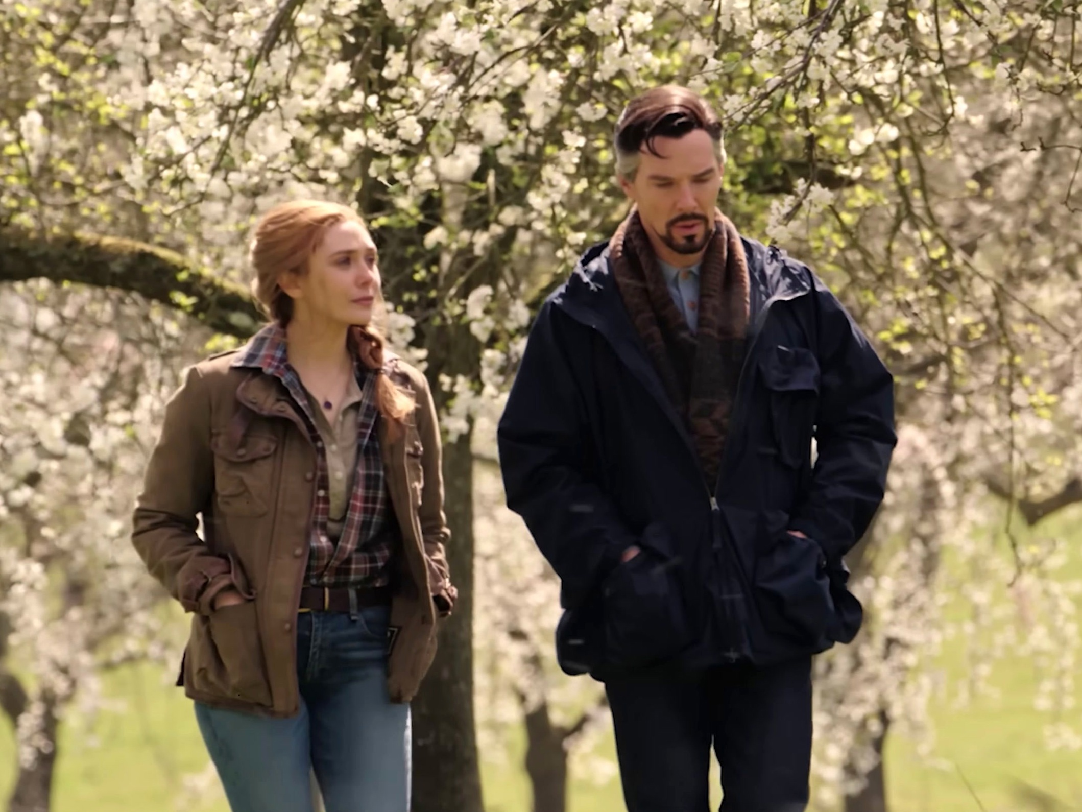 Doctor Strange In The Multiverse Of Madness: Doctor Strange & Wanda In The Garden