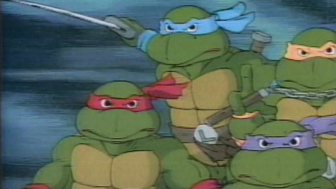 Teenage Mutant Ninja Turtles: Super Rocksteady And