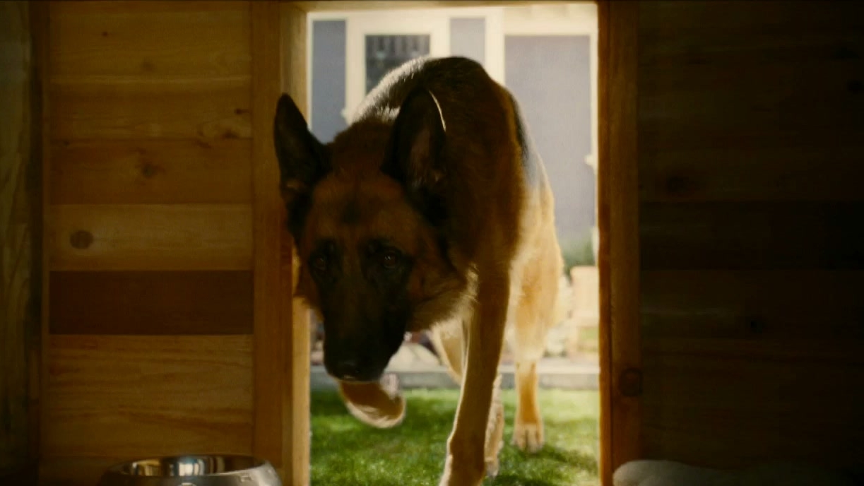 Cats & Dogs: The Revenge Of Kitty Galore