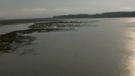 Frontline: Poisoned Waters