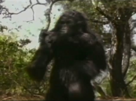 Sasquatch Hunters Where To Watch And Stream Tv Guide Sasquatch Hunters Where To Watch And Stream Tv Guide