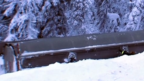 Ice Road Truckers: The Polar Bear Returns