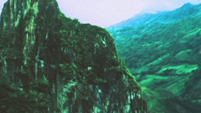 Emerald Cowboy