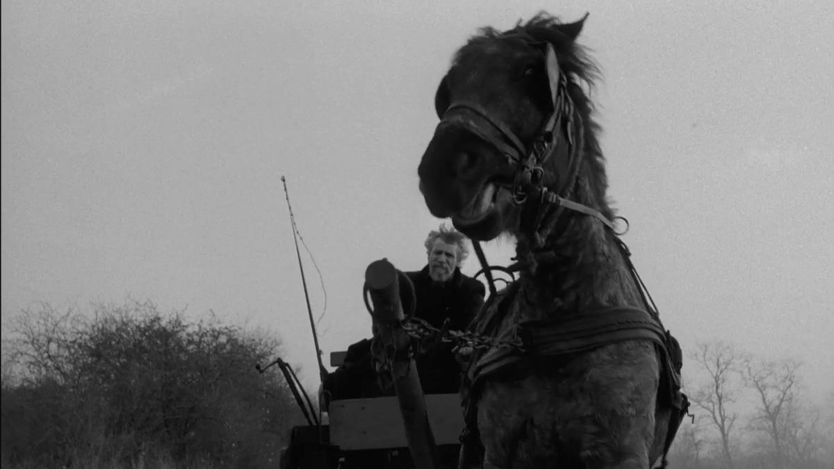 The Turin Horse