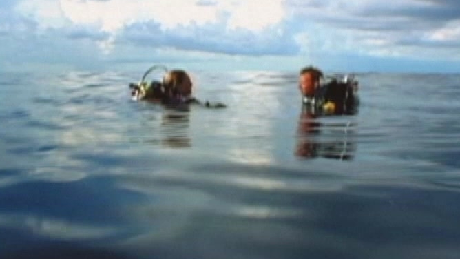 Open Water