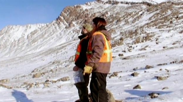 Ice Road Truckers: Ice Rogue Trucker