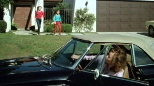 Knots Landing: Man Of The Hour