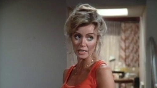 Knots Landing: Remember The Good Times