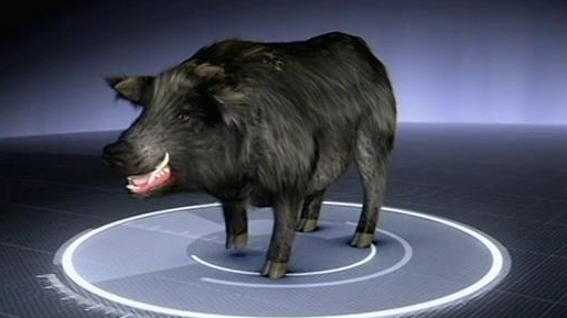 Monster Quest: Mega Hog