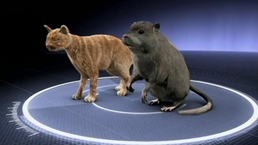 Monster Quest: Super Rats